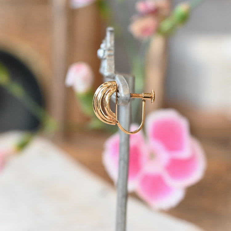 可愛らしい イヤリング