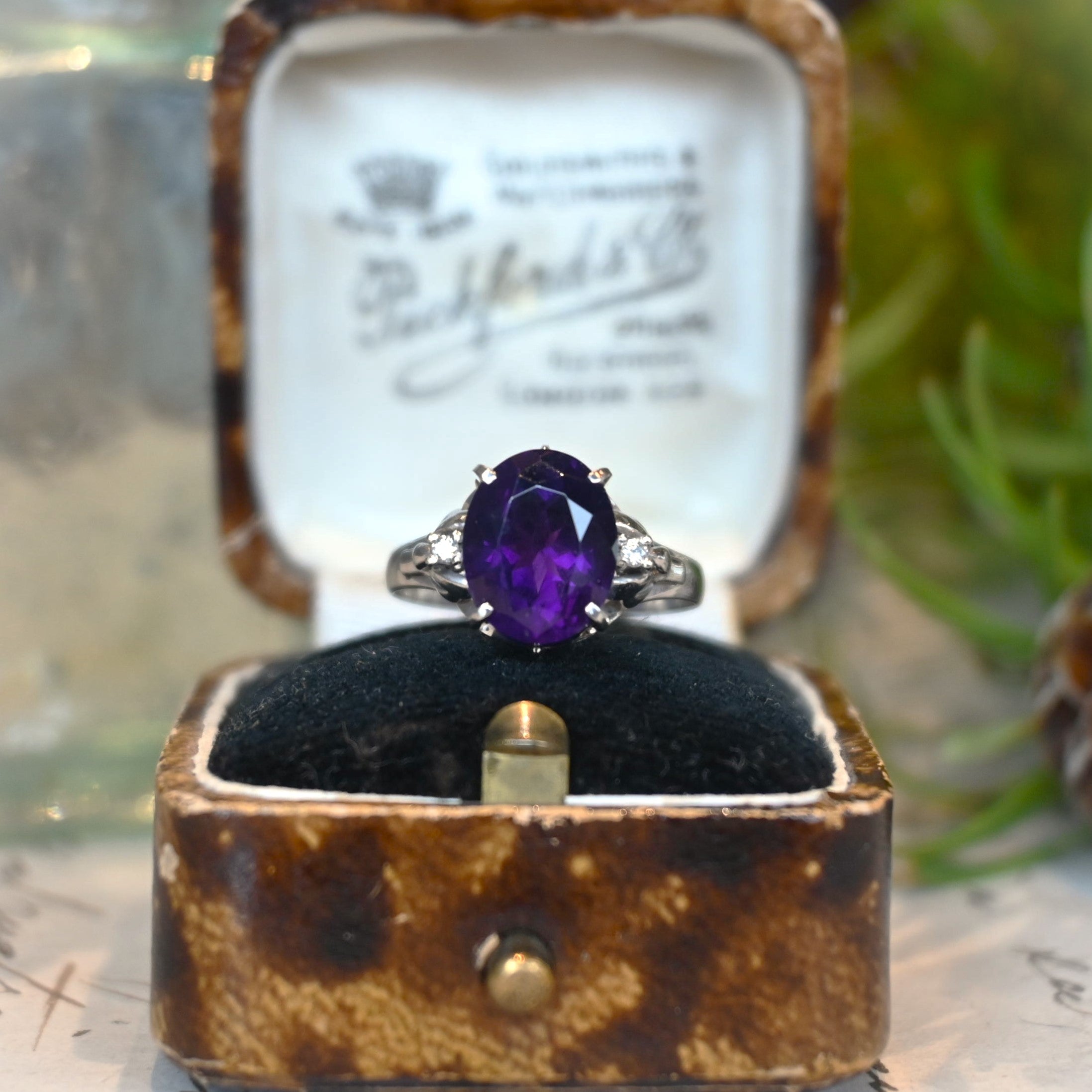 DSC_2689.jpg?v=1740713117