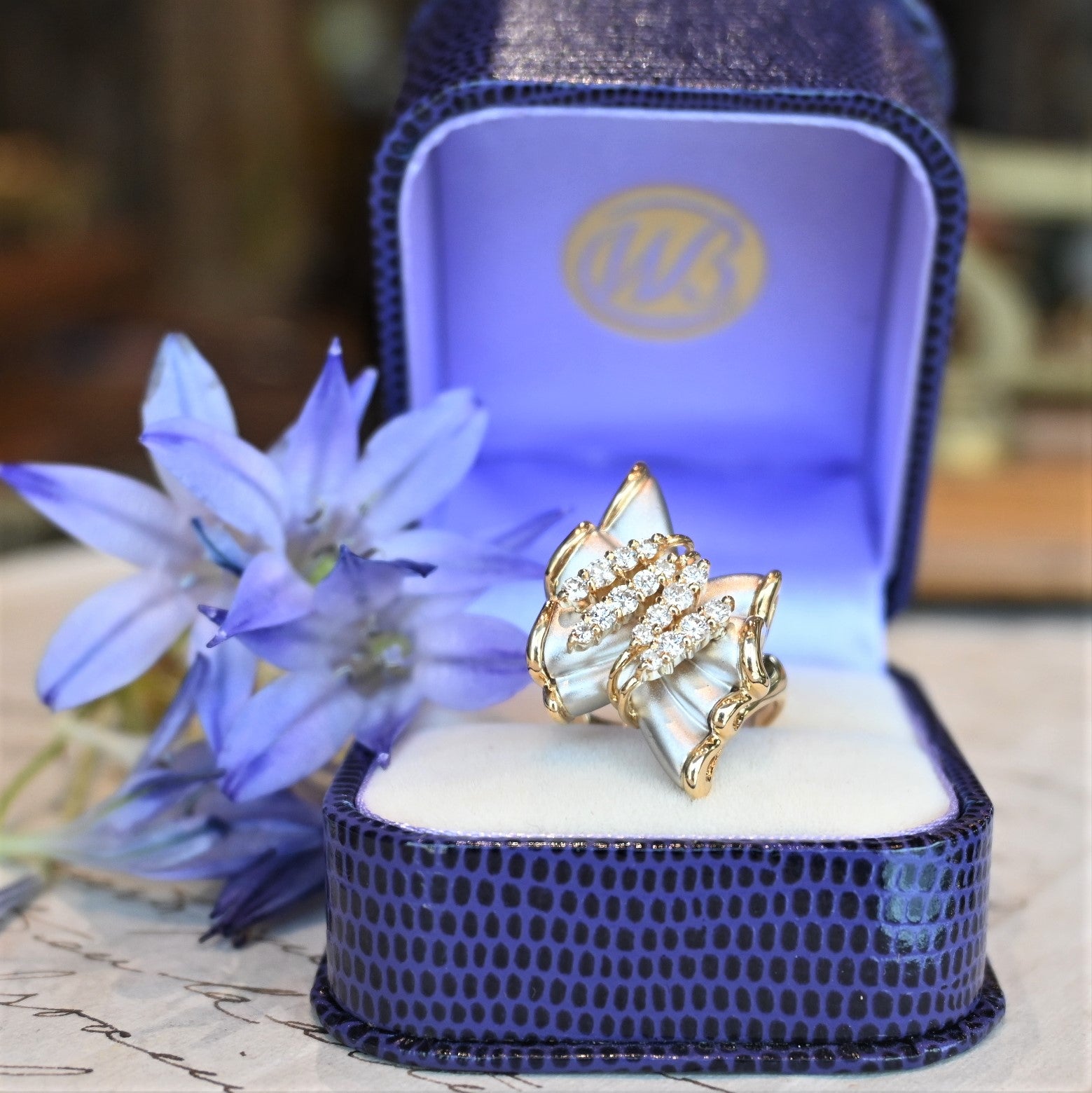 DSC_3701.jpg?v=1684291876