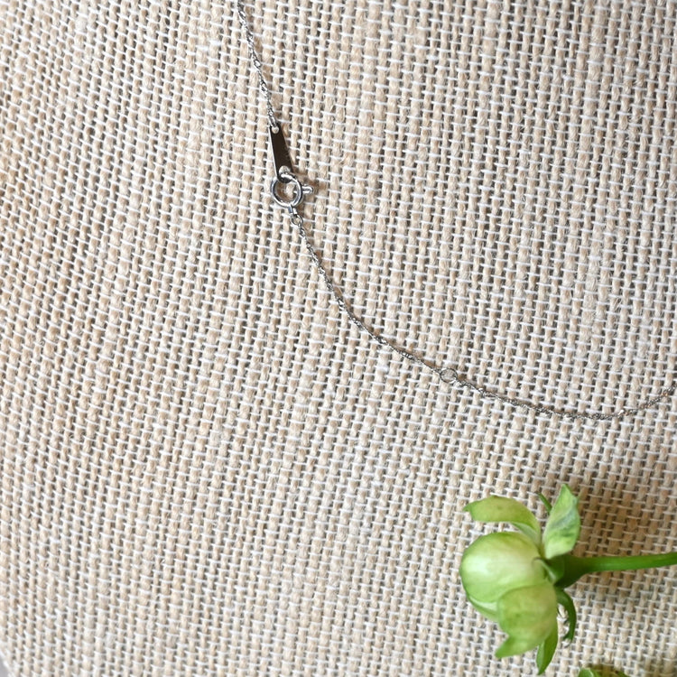 華奢な プラチナスクリューネックレス