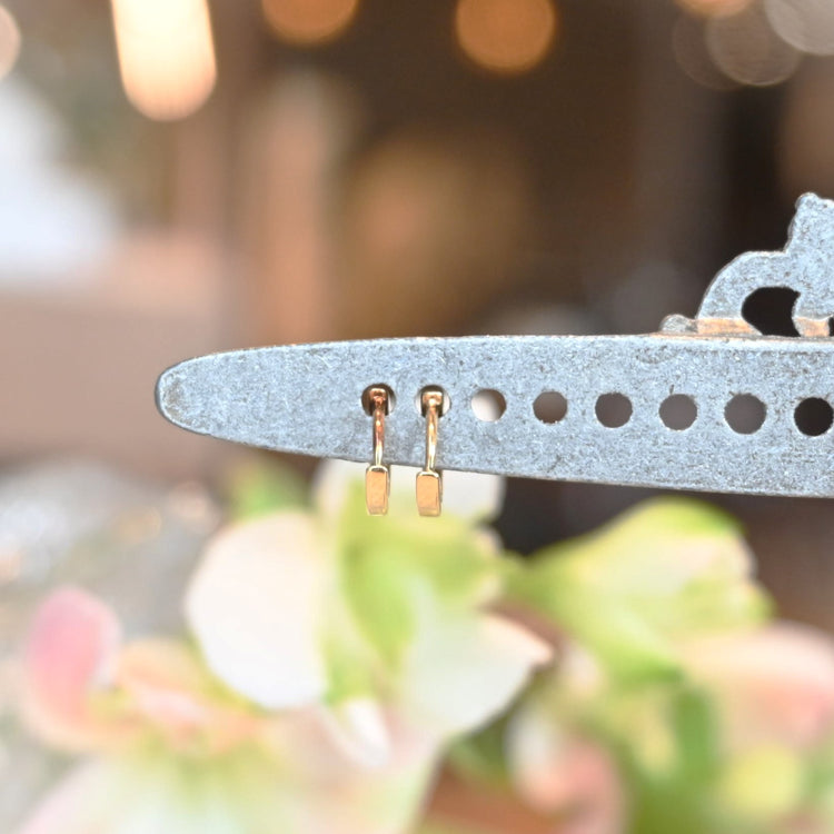 小さな小さな フープピアス