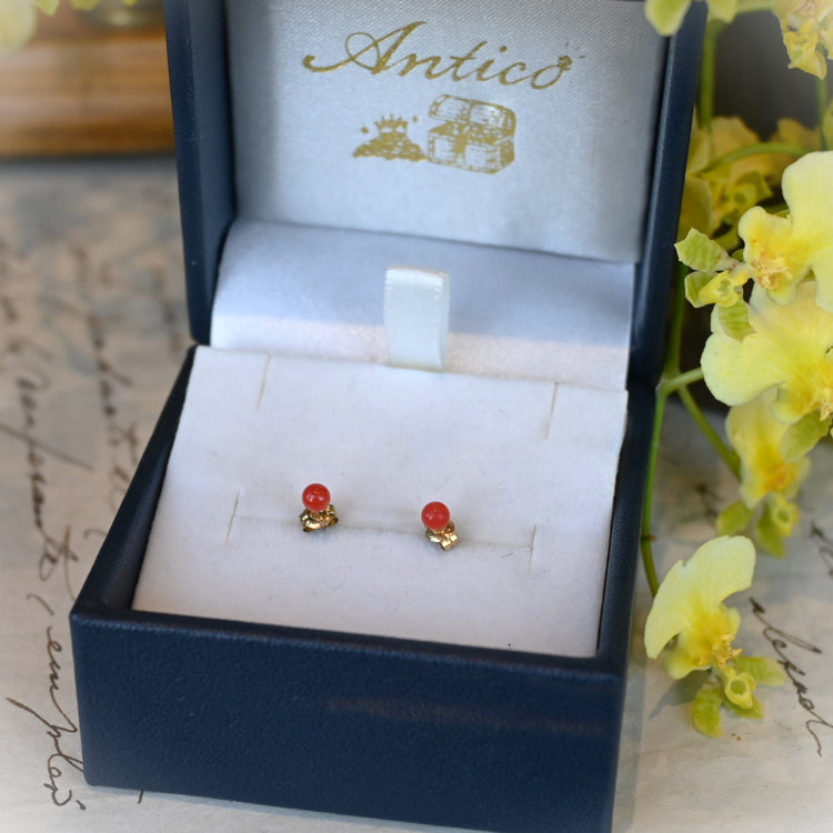 小さな珊瑚ピアス