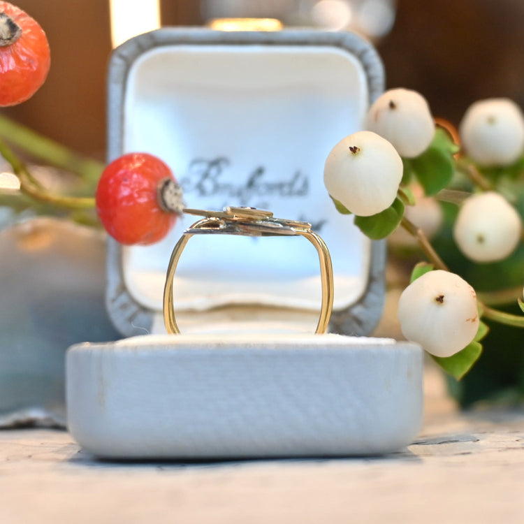 スタースター コンビリング