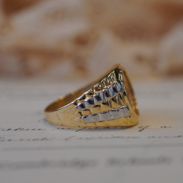 メキシコ ペソコイン コンビリング