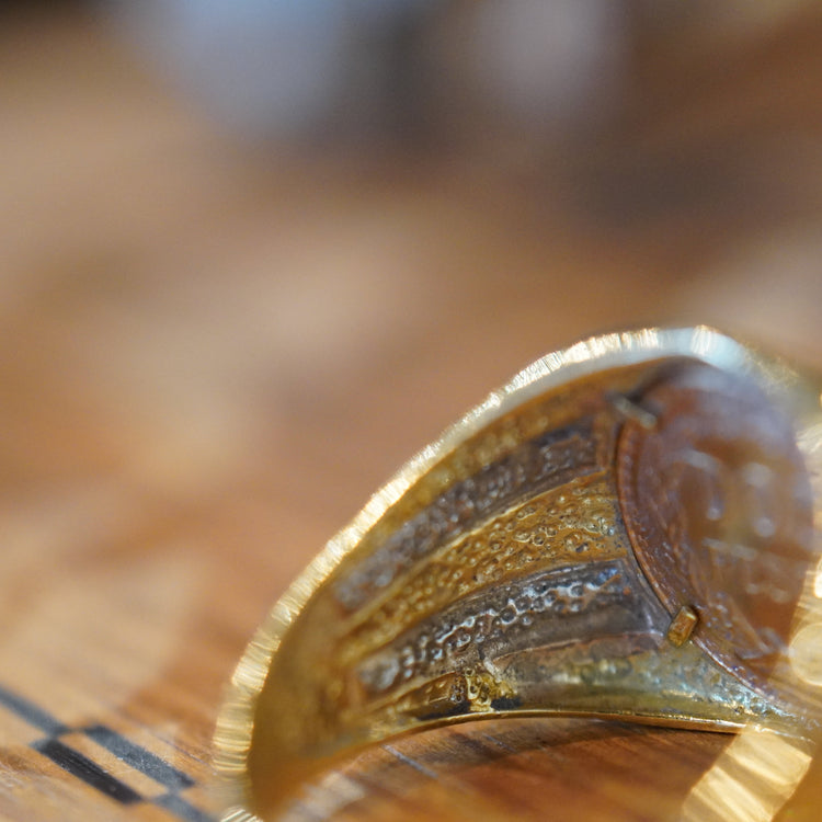 メキシコ ペソコイン コンビリング