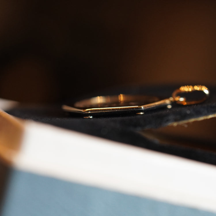 マン島 ノーブル プラチナコイン 1/10oz コンビ トップ