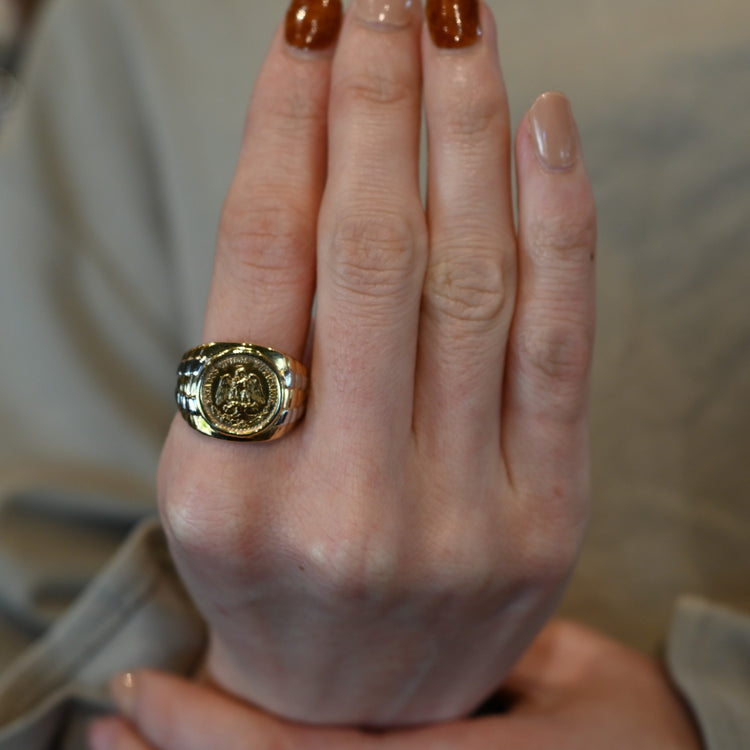 メキシコ ペソコイン コンビリング