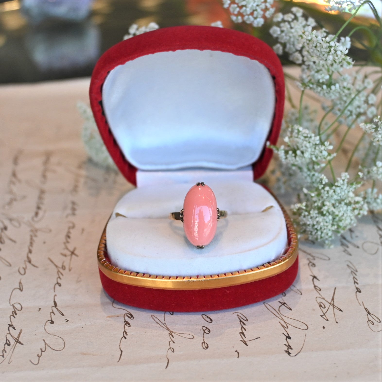 DSC_2057.jpg?v=1679199475